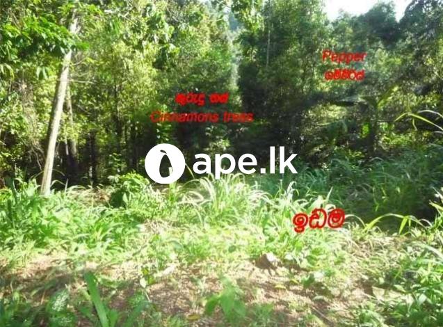 Land for sale heart of  Matale town