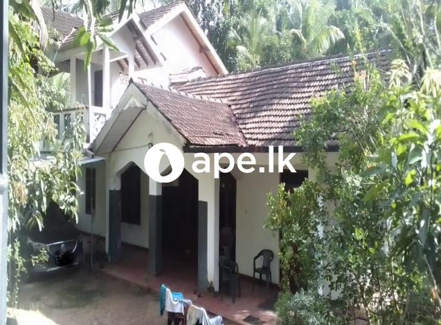 30 for sell gampaha minuwangoda 7014