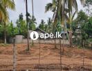 Nittambuwa Land 25.5 purch for sale