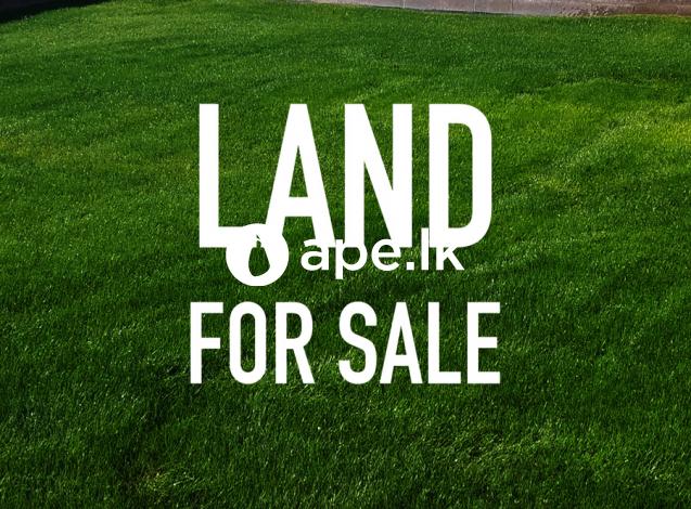 Land for Sale- Horana