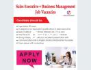 Working in Oman sales executive + Business managem