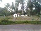 Land for sale in Marawila