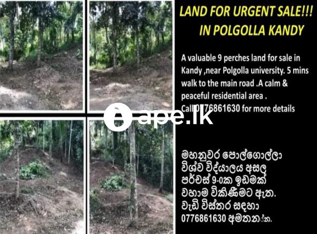 A valuable land for immediate sale in Kandy