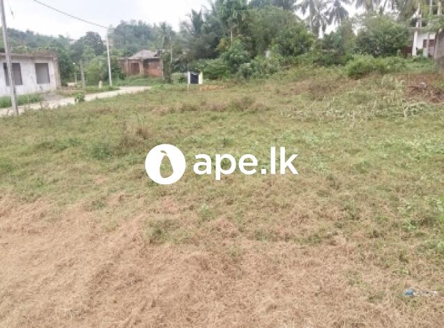 Commercial Land for Sale Immediately  at Horana 