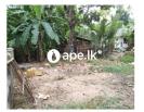  Land For Sale In WELIGAMA