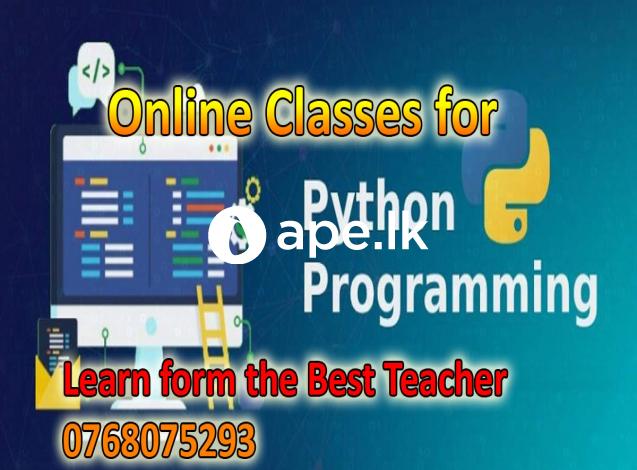 Python Programming Language 