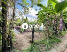 Land with A House for Sale in Warakapola