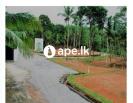 Land For Sale In Near To Godagama