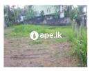 20 perches Land For Sale In KALAGEDIHENA