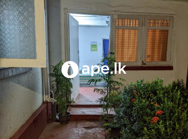Room For Rent Mount lavinia