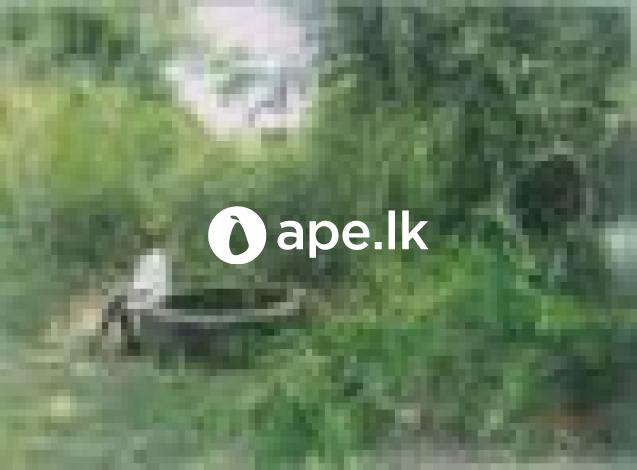 Land for Sale in Puttalam