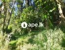A 15 Perches residential land for sell in Wattegam