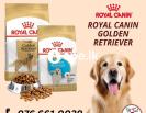 ROYAL CANIN DOG FOOD - Petfood4u Battaramulla