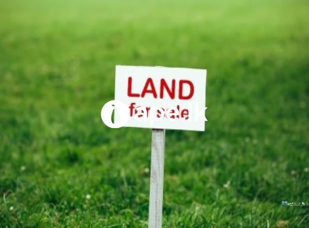 Commercial Land for Sale at Piliyandala