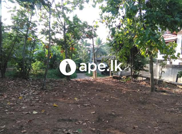 Land for sale in Homagama, Magammana