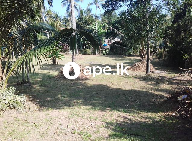 53 perch land for sale in Gampaha Town