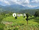 Land for sale at Madugalle with 510 perches